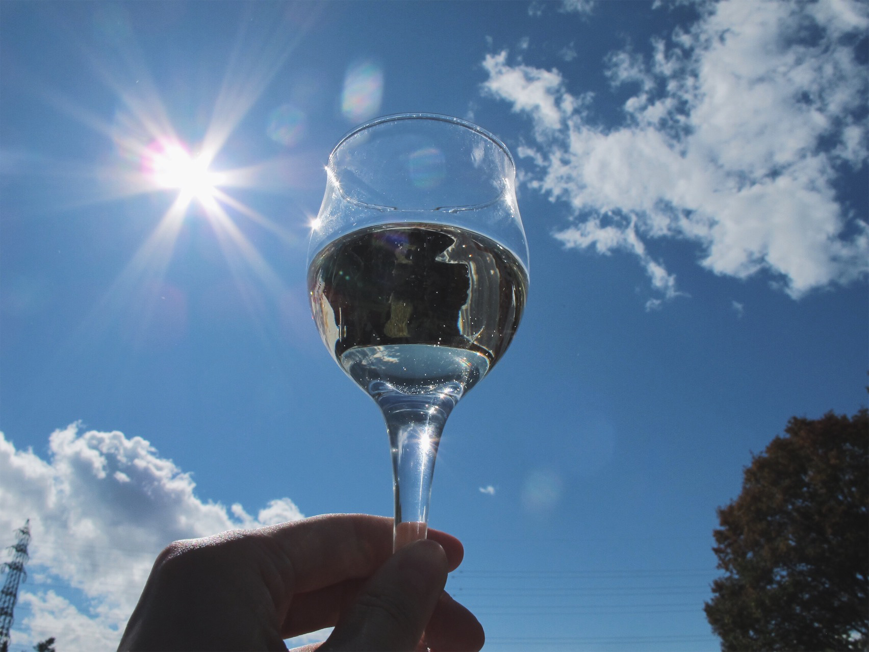 青空の下、葡萄畑の中でワイン！マンズワイン「収穫祭」へ行きました