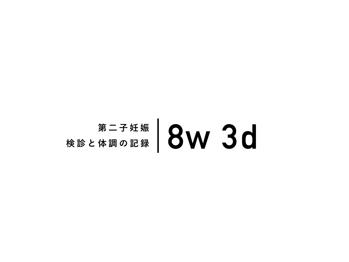 8w3dの検診 心拍確認とつわりピーク